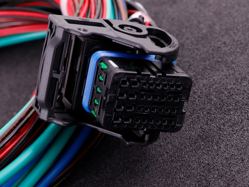MaxxECU RACE cablaj 2 (EGT, E-Throttle, extra)