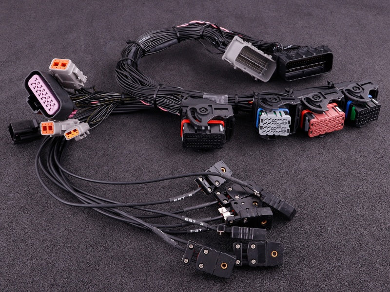 Cablu adaptor MaxxECU PRO Corvette C6 (E38 ECM)