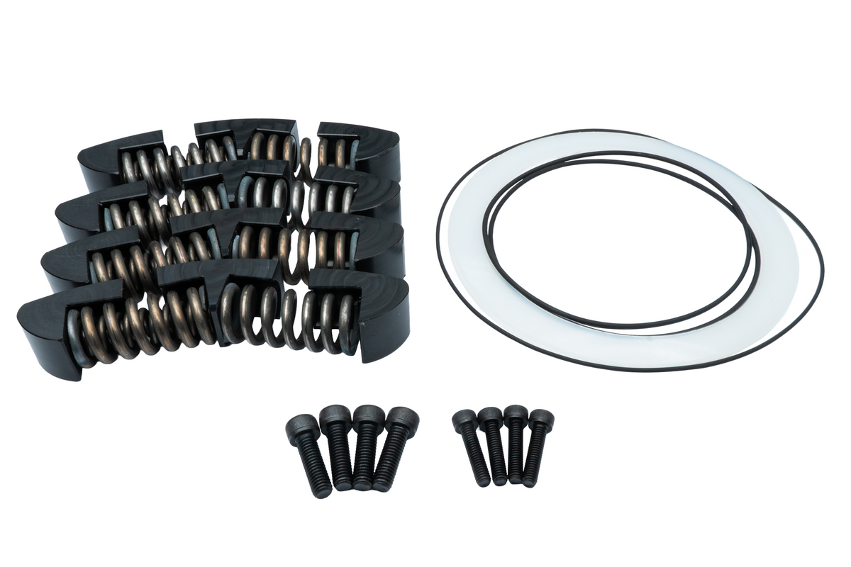 Kit Reparatie Volanta Bimasa RTMG Performance pentru DSG DQ250 si DQ500