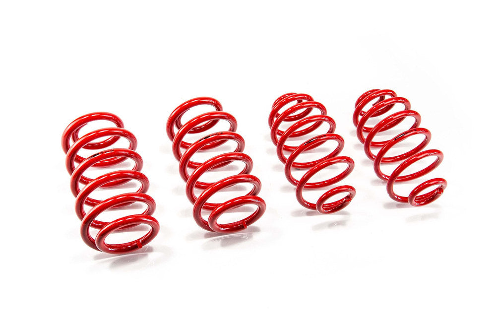 Set Arcuri Sport MTS Technik Volkswagen PASSAT B5 (3B2) MTSXVW381