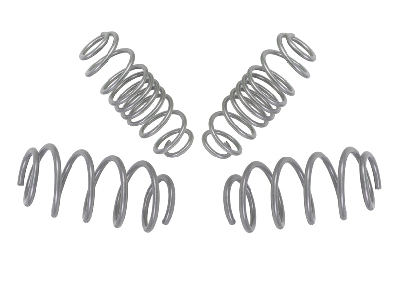 Set arcuri sport (coborare) Whiteline pentru Ford Fiesta - WSK-FRD002