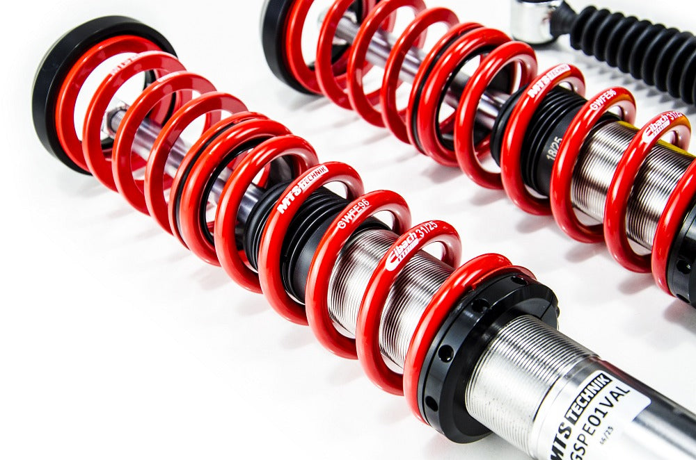 Suspensie Reglabila Coilover MTS Technik Street pentru Peugeot 206 CC (2D), 206 Hatchback (2A/C) si altele - XMTSGWPE02