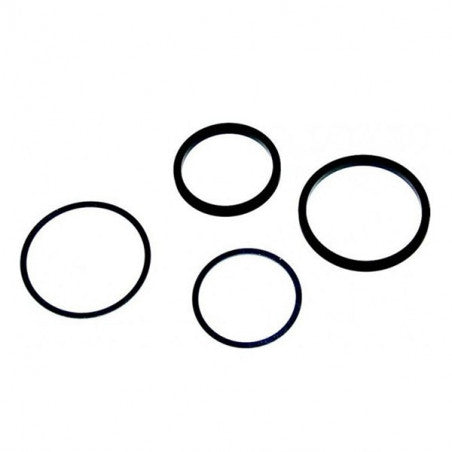 Kit reparatie rulment de presiune AP Racing pentru CP3859-1445