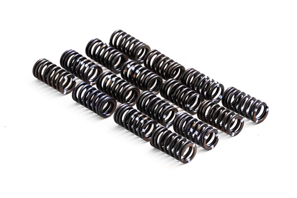 Set Arcuri Supape RTMG Performance pentru 1.4 TSI EA111