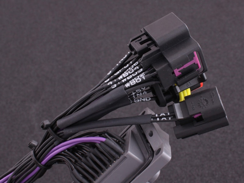 Adaptor MaxxECU Plugin - Toyota Supra MKIV