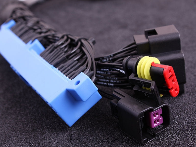 Adaptor MaxxECU Plugin - Nissan S13 CA18
