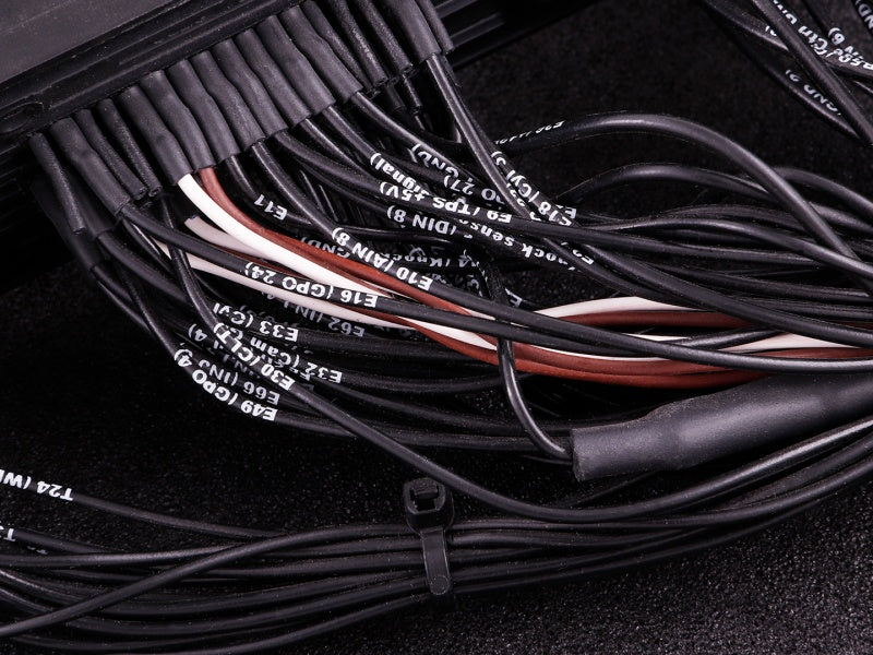 Adaptor MaxxECU PRO Plugin - Mustang GT V8 2011 E-Throttle