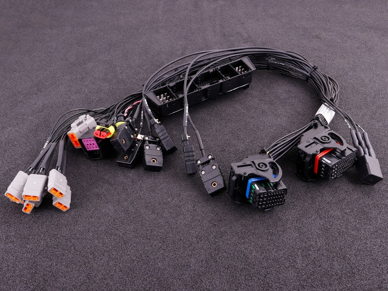 Adaptor plugin BMW M54 (MaxxECU RACE)