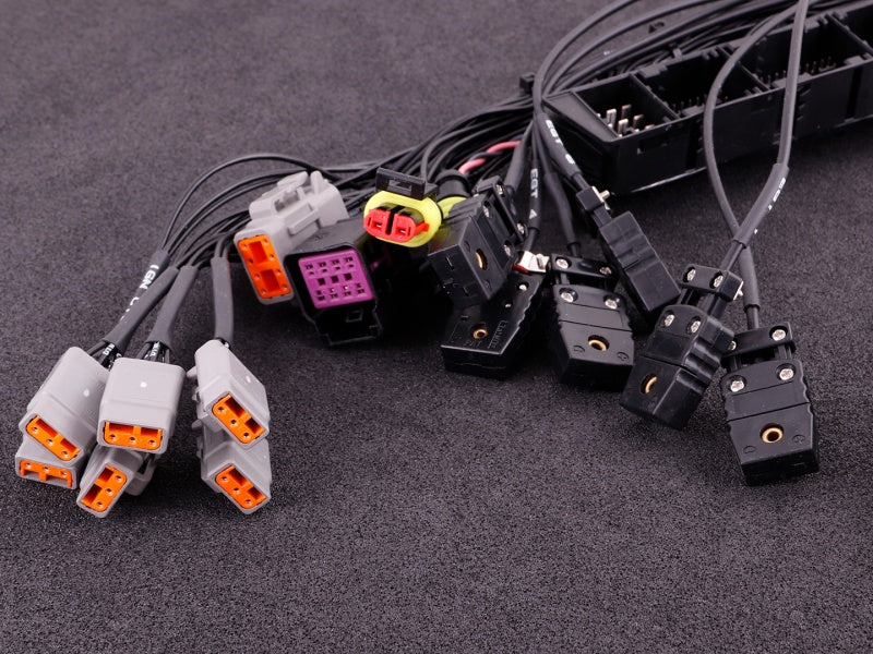 Adaptor plugin BMW M54 (MaxxECU RACE)