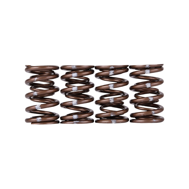 Arcuri de supape Skunk2 Pro XP pentru motoare Honda B16, B17 si B18 (VTEC)