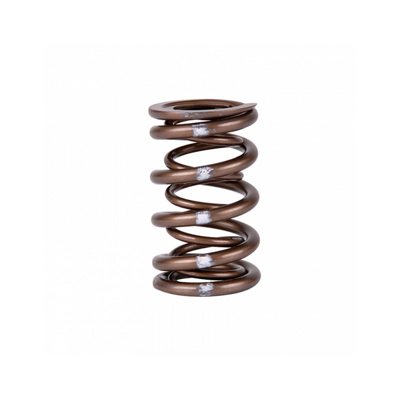 Arcuri de supape Skunk2 Pro XP pentru motoare Honda B16, B17 si B18 (VTEC)