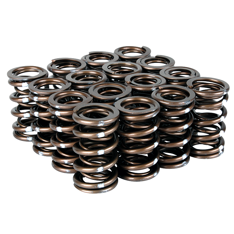 Arcuri de supape Skunk2 Pro XP pentru motoare Honda K20, K24, F20C si F22C