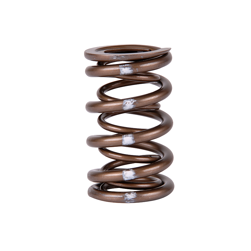 Arcuri de supape Skunk2 Pro XP pentru motoare Honda K20, K24, F20C si F22C