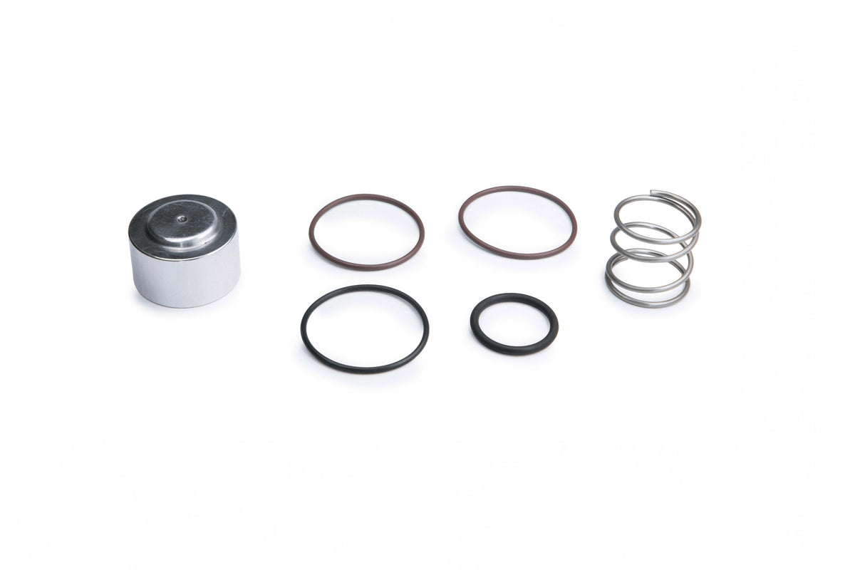 Kit Reconditionare Supapa RTMG Performance, Blow-Off si Diverter