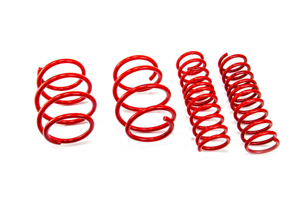 Set Arcuri Sport MTS Technik BMW Seria 5 (E39) MTSXBM241