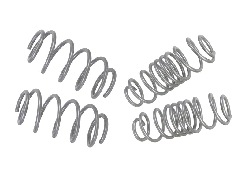 Set arcuri sport (coborare) Whiteline pentru Ford Fiesta - WSK-FRD002
