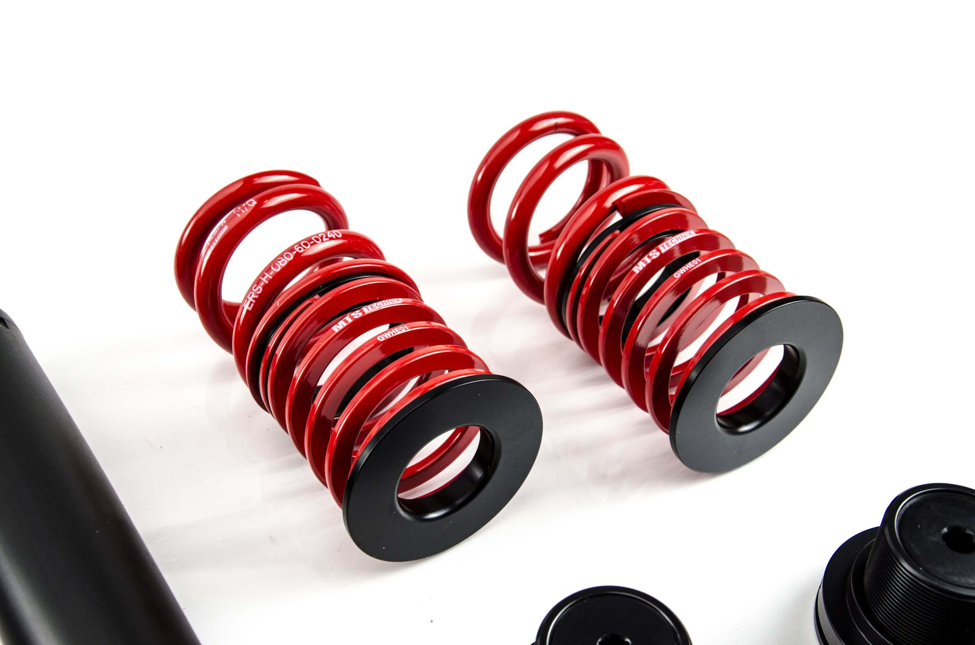 Suspensie Reglabila Coilover MTS Technik Stance pentru BMW 3 Compact (E36), Z3 Coupe (E36) si altele - XMTSGWBM117-S