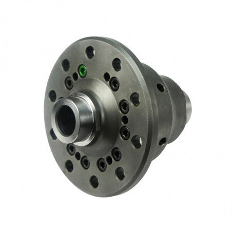 Diferential Autoblocant Torsen BMW E39 E46 E53 - Carcasa 188K
