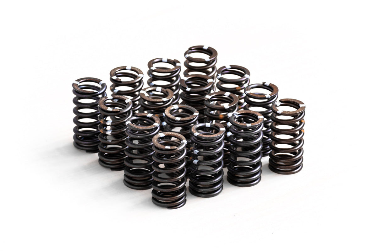 Set Arcuri Supape RTMG Performance pentru 1.4 TSI EA111