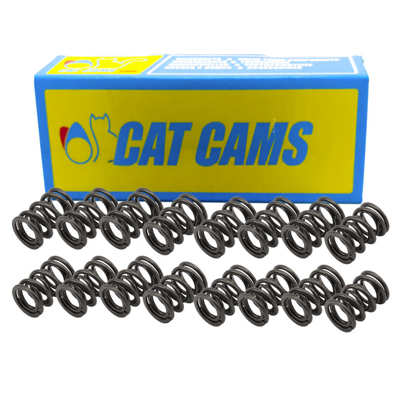 Kit 16 Arcuri Supape Duble Cat Cams Opel / Renault