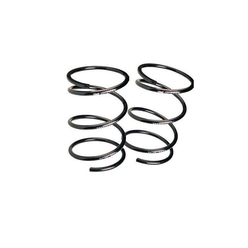 Arcuri Sport Eibach Pro-Kit Renault Megane II 2.0 Renault Sport 224cv