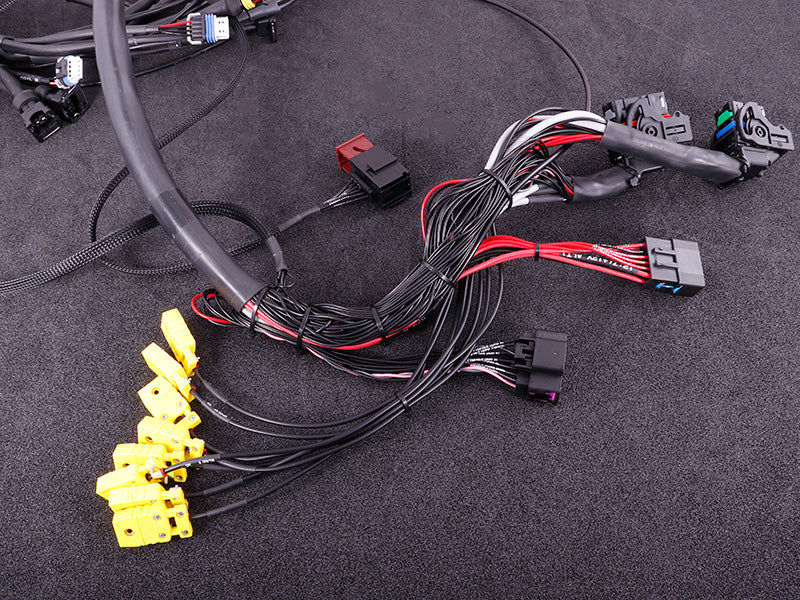 Fascicul de cabluri motor terminat - GM LS GEN III/IV inclusiv kit MaxxECU RACE